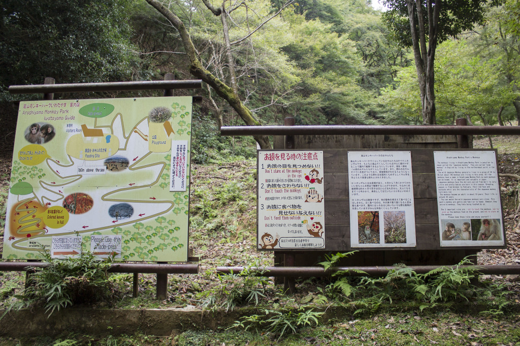 Arashiyama Monkey Park walk