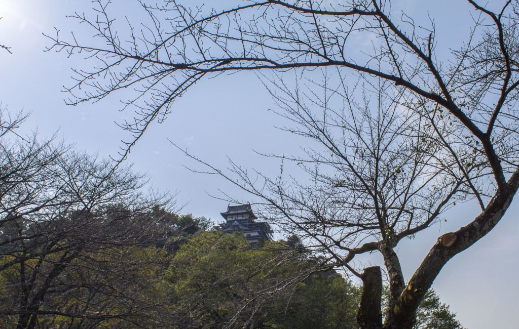 Inuyama Castle from below