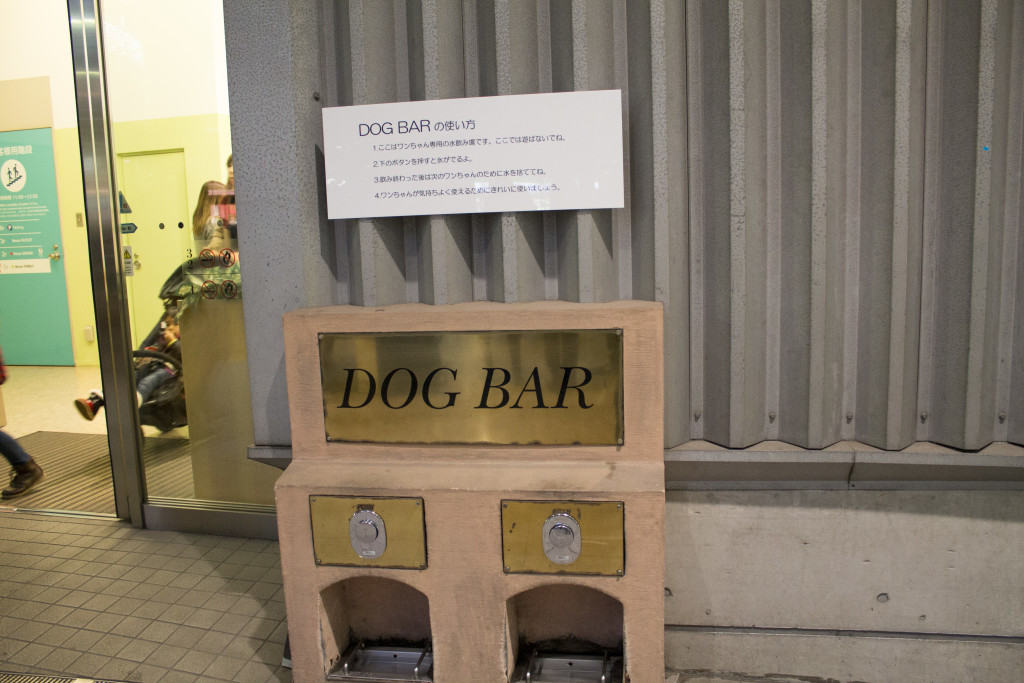 Dog bar Venus Fort Odaiba