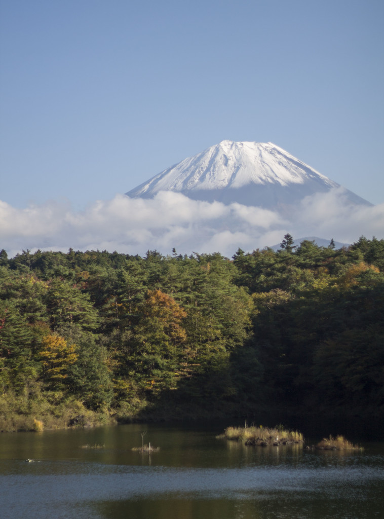 Mt. Fuji and Lake Shoji