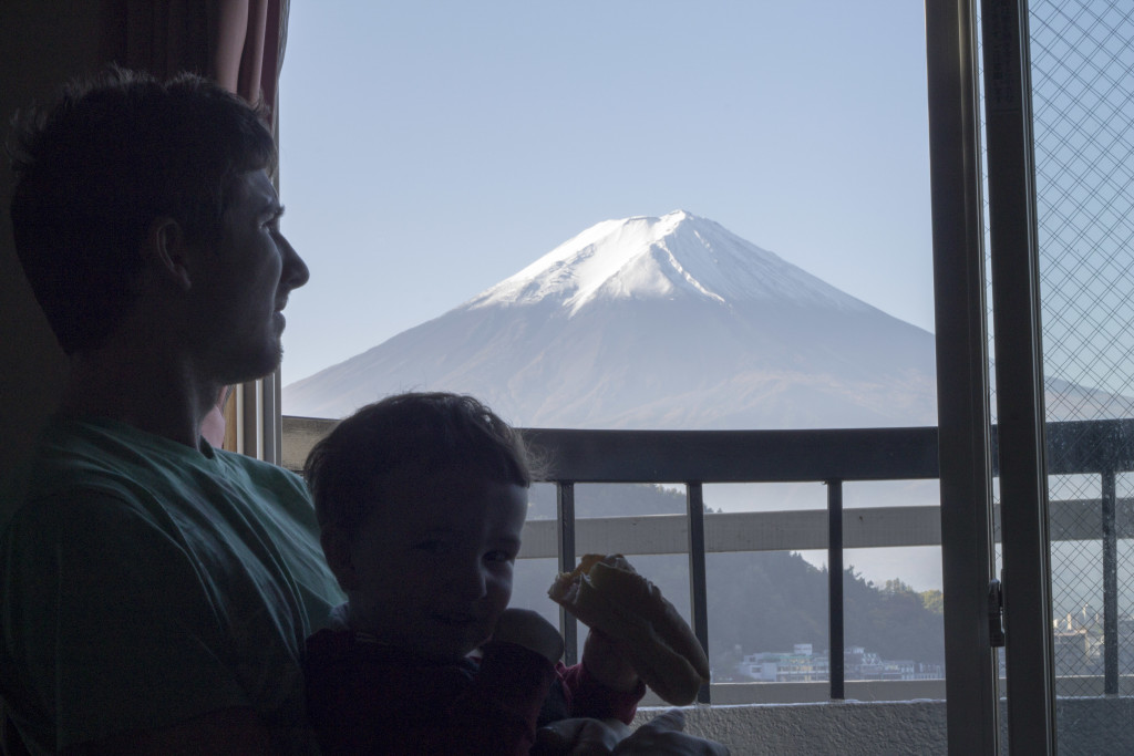 Mount Fuji Views