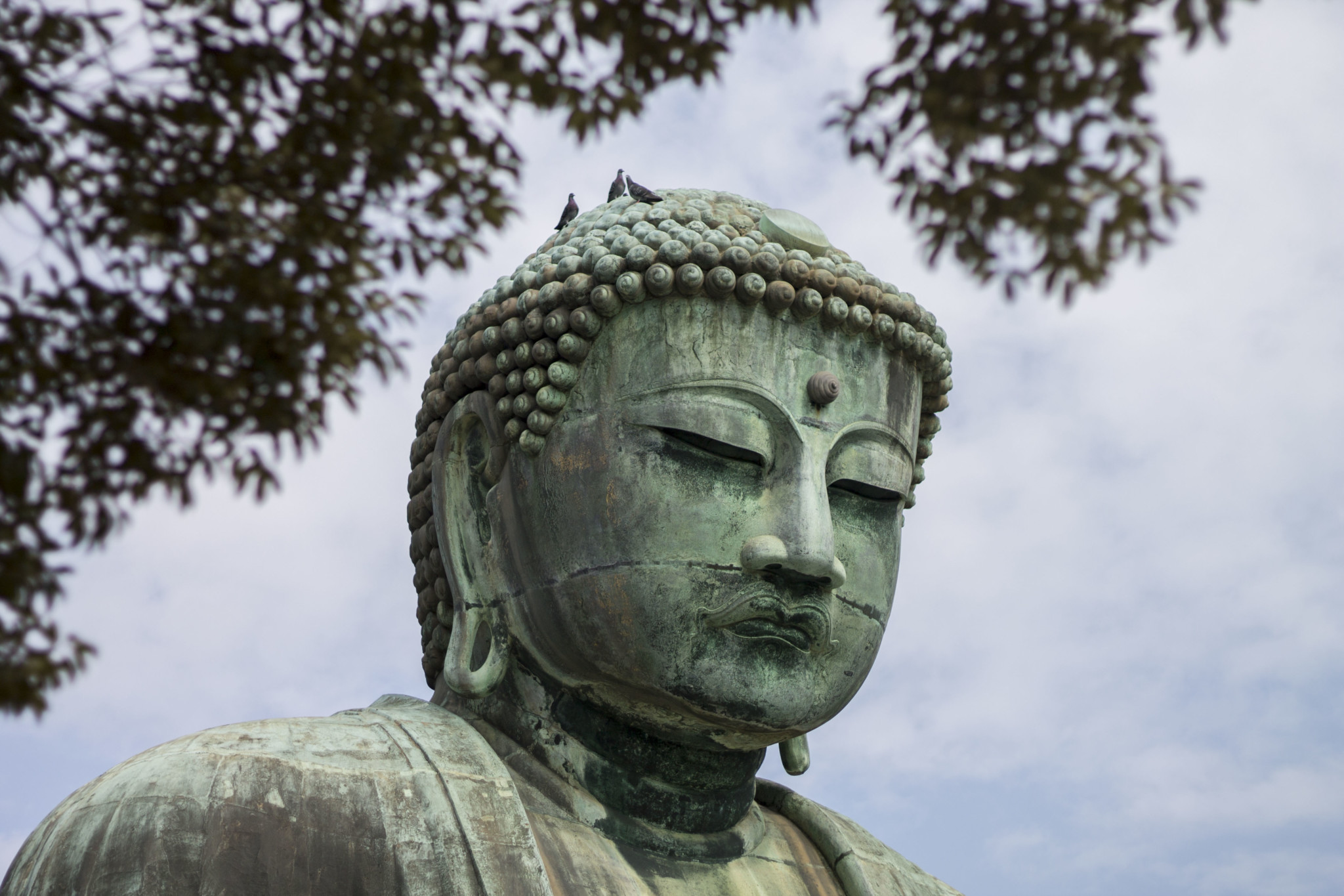 Kamakura and Enoshima day trip from Tokyo