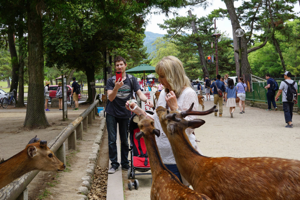 Day trip to Nara