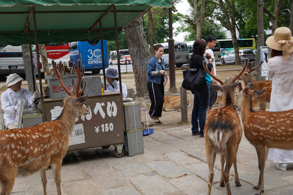 Day trip to Nara