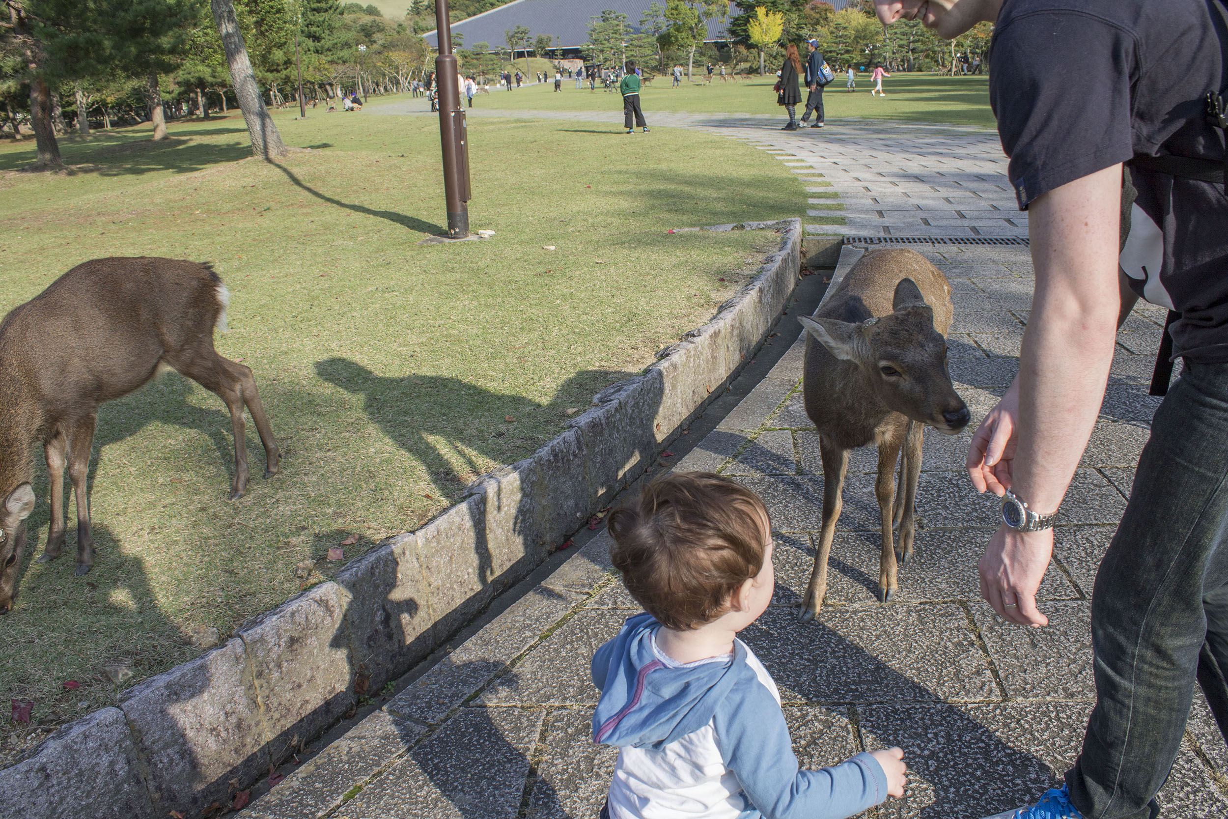 Afternoon in Nara with a one year old