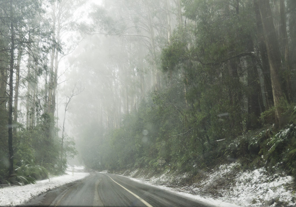 Mount Donna Buang Road