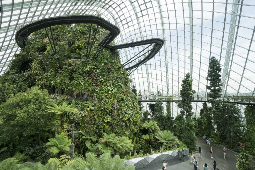 Cloud Forest in Gardens by the Bay Singapore