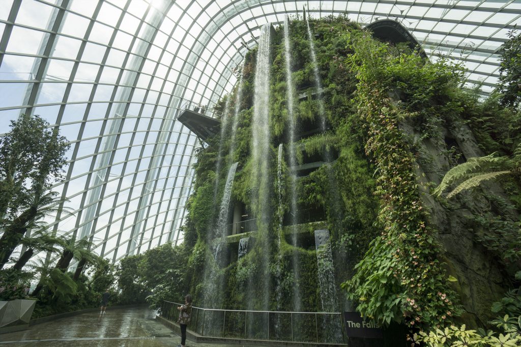 Waterfall in the cloud forest Singapore