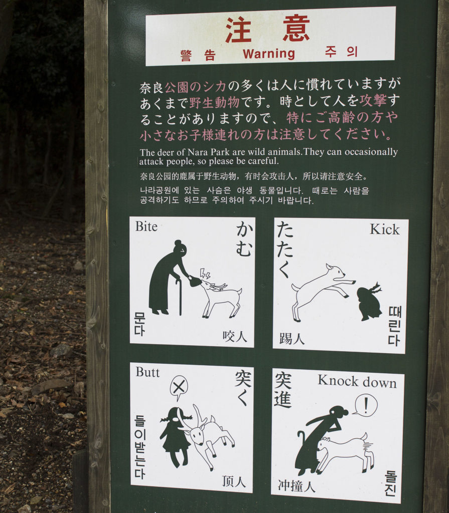 afternoon in Nara, Deer sign