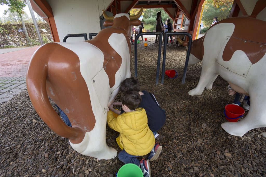 Cows at Playmobil Funpark